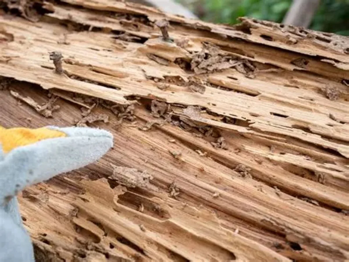 Étiquette énergie DPE montrant les différentes classes de A à G avec des flèches colorées